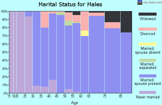 Zip code 40513 marital status for males