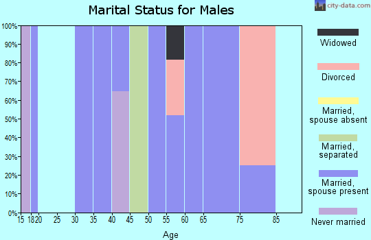 Zip code 40737 marital status for males