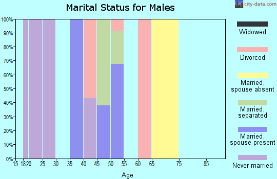 Zip code 40771 marital status for males