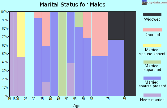 Zip code 40810 marital status for males
