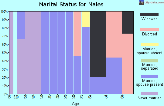 Zip code 40813 marital status for males
