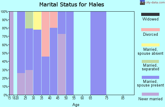 Zip code 40826 marital status for males