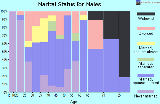 Zip code 40828 marital status for males