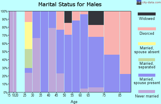Zip code 40855 marital status for males
