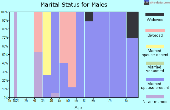 Zip code 40862 marital status for males