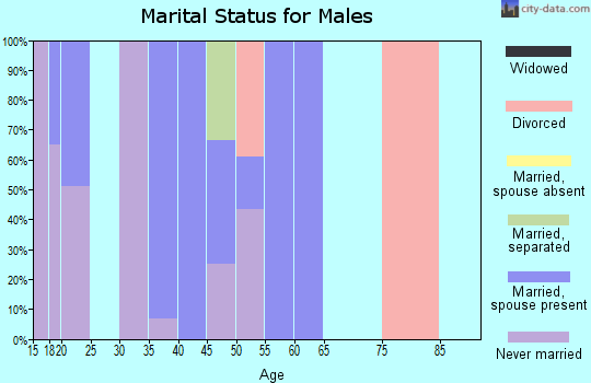 Zip code 40915 marital status for males