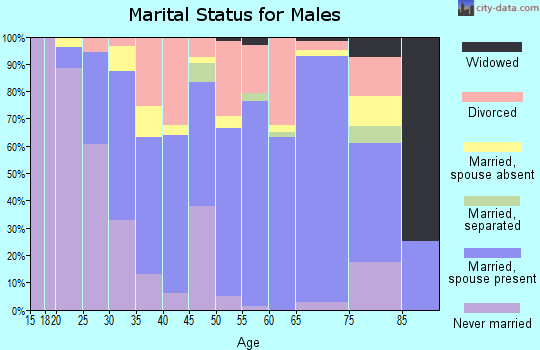 Zip code 40965 marital status for males