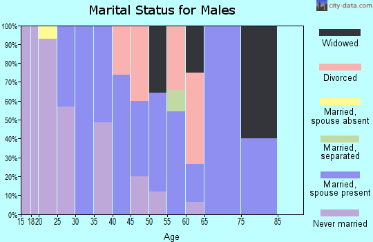 Zip code 40972 marital status for males