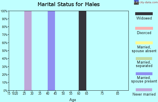 Zip code 40979 marital status for males