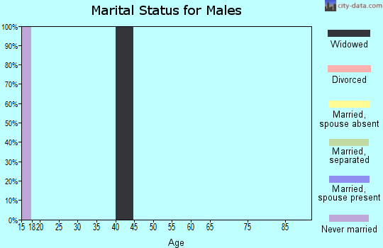 Zip code 40995 marital status for males