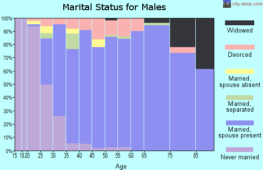 Zip code 41001 marital status for males