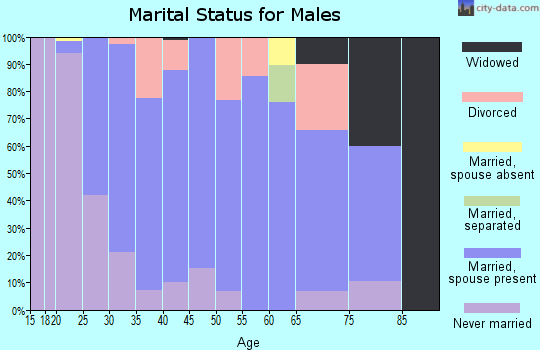 Zip code 41004 marital status for males