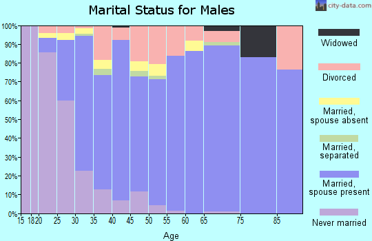 Zip code 41005 marital status for males