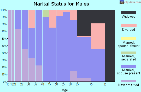 Zip code 41006 marital status for males