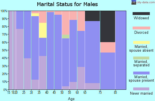 Zip code 41007 marital status for males
