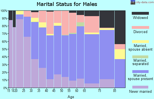Zip code 41015 marital status for males