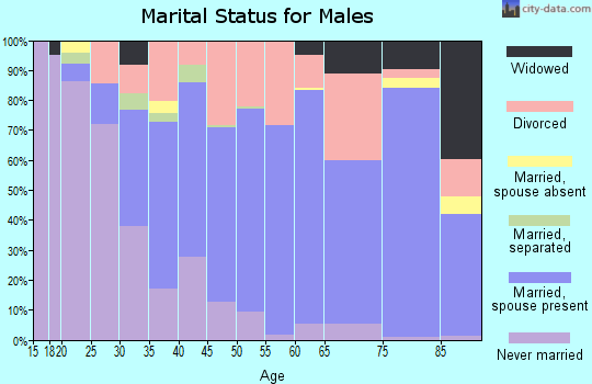 Zip code 41031 marital status for males