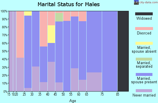 Zip code 41034 marital status for males