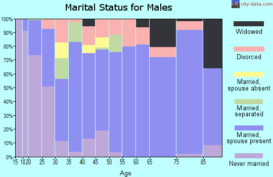 Zip code 41035 marital status for males