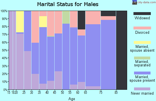 Zip code 41039 marital status for males