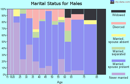 Zip code 41041 marital status for males