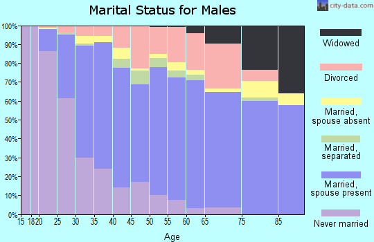 Zip code 41042 marital status for males
