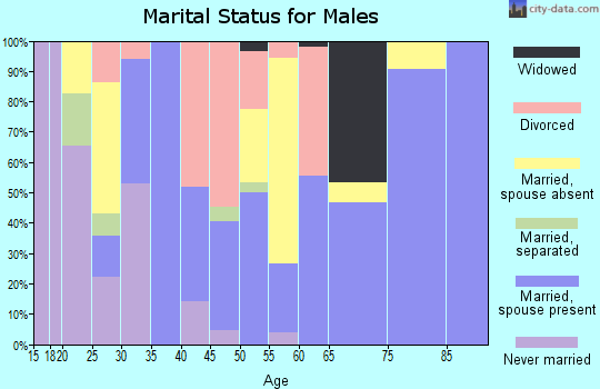Zip code 41045 marital status for males