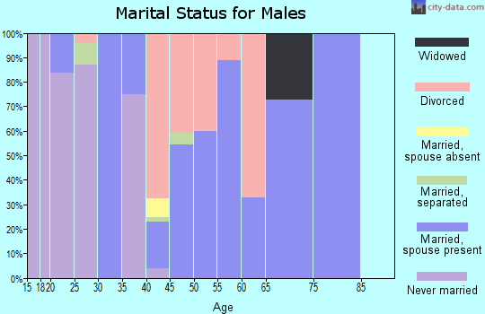 Zip code 41046 marital status for males