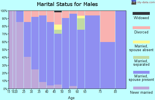 Zip code 41048 marital status for males