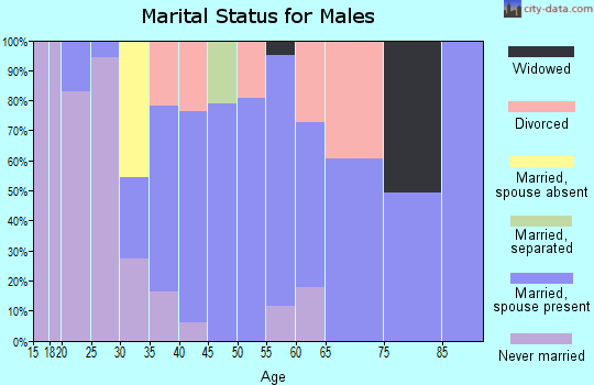 Zip code 41049 marital status for males