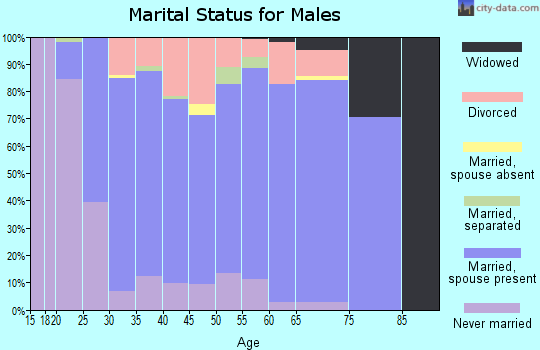 Zip code 41051 marital status for males