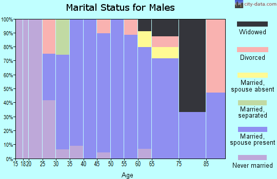 Zip code 41055 marital status for males