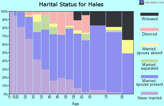 Zip code 41056 marital status for males