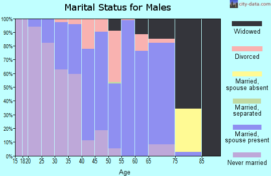 Zip code 41059 marital status for males