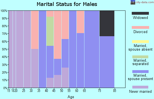 Zip code 41085 marital status for males