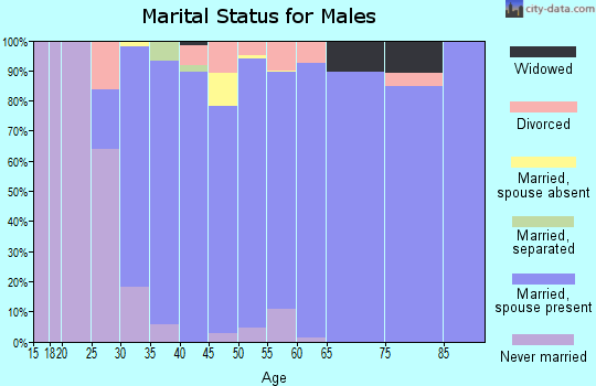Zip code 41091 marital status for males