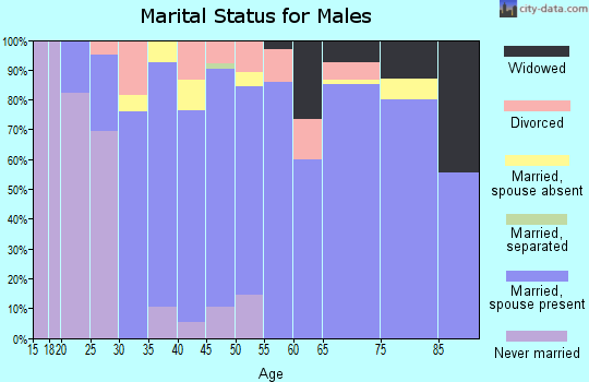 Zip code 41094 marital status for males