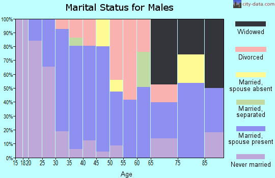 Zip code 41095 marital status for males