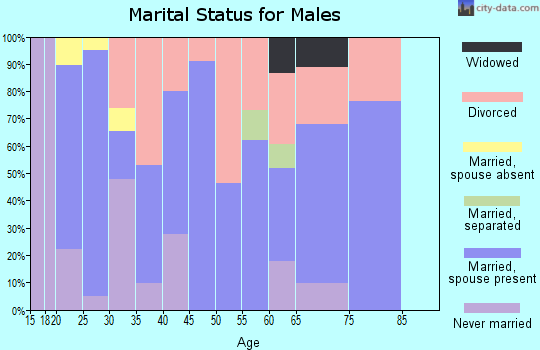 Zip code 41098 marital status for males