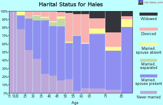 Zip code 41101 marital status for males