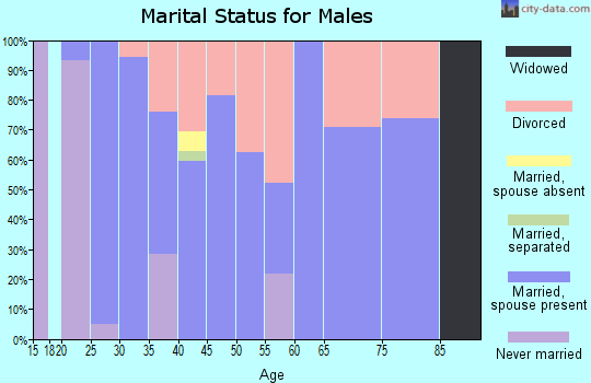 Zip code 41124 marital status for males