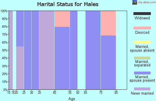 Zip code 41137 marital status for males