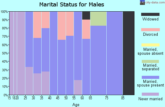 Zip code 41141 marital status for males