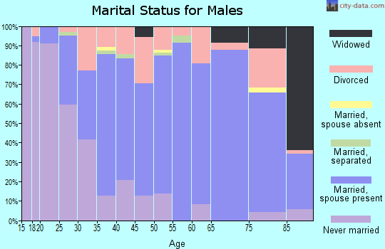 Zip code 41143 marital status for males