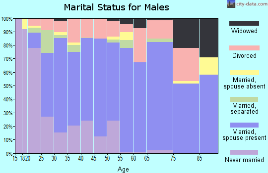 Zip code 41144 marital status for males