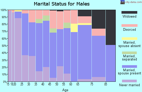 Zip code 41164 marital status for males