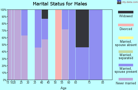 Zip code 41166 marital status for males