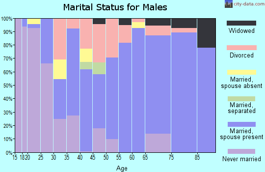Zip code 41169 marital status for males