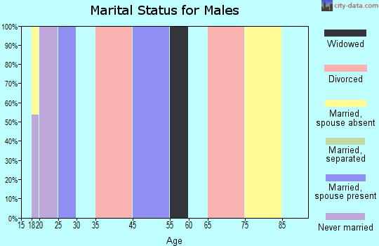 Zip code 41170 marital status for males