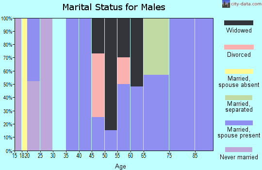 Zip code 41174 marital status for males